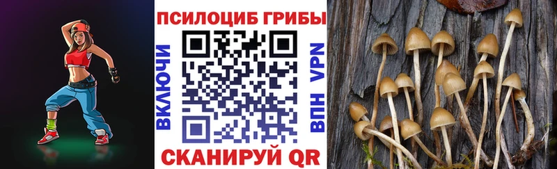 Псилоцибиновые грибы прущие грибы Катав-Ивановск
