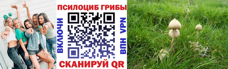 Псилоцибиновые грибы MAGIC MUSHROOMS  Катав-Ивановск 